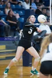 Volleyball: North Buncombe at TC Roberson (BR3_2782)