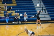 Volleyball: North Buncombe at TC Roberson (BR3_3190)