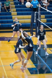 Volleyball: North Buncombe at TC Roberson (BR3_3341)
