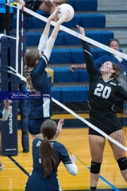 Volleyball: North Buncombe at TC Roberson (BR3_3430)