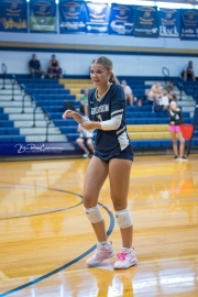 Volleyball: North Buncombe at TC Roberson (BR3_3620)