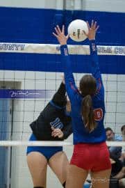 Volleyball: West Henderson at Polk (BR3_4818)