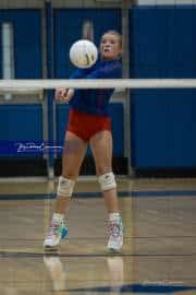 Volleyball: West Henderson at Polk (BR3_4947)