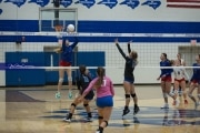 Volleyball: West Henderson at Polk (BR3_4989)