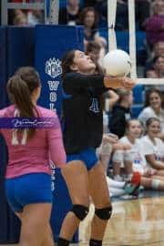 Volleyball: West Henderson at Polk (BR3_5033)