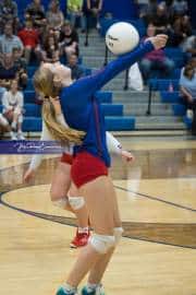 Volleyball: West Henderson at Polk (BR3_5206)
