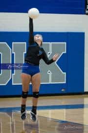 Volleyball: West Henderson at Polk (BR3_5284)