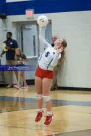 Volleyball: West Henderson at Polk (BR3_5422)