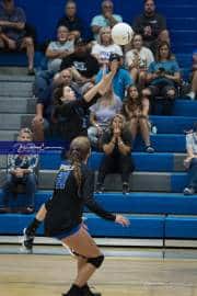Volleyball: West Henderson at Polk (BR3_5450)