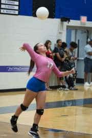 Volleyball: West Henderson at Polk (BR3_5536)