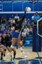 Volleyball: West Henderson at Polk (BR3_5851)