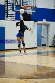 Volleyball: West Henderson at Polk (BR3_5862)