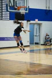 Volleyball: West Henderson at Polk (BR3_5867)