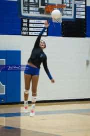 Volleyball: West Henderson at Polk (BR3_5999)