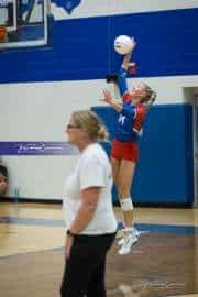 Volleyball: West Henderson at Polk (BR3_6045)
