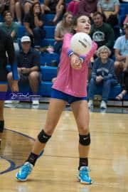 Volleyball: West Henderson at Polk (BR3_6118)