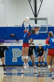 Volleyball: West Henderson at Polk (BR3_6204)