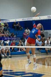 Volleyball: West Henderson at Polk (BR3_6445)