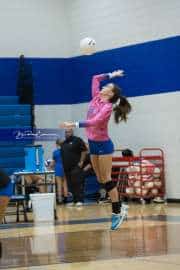 Volleyball: West Henderson at Polk (BR3_6490)