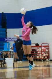Volleyball: West Henderson at Polk (BR3_6491)