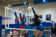 Volleyball: West Henderson at Polk (BR3_6531)