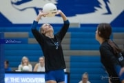 Volleyball: West Henderson at Polk (BR3_6558)
