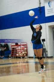 Volleyball: West Henderson at Polk (BR3_6574)