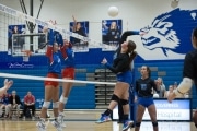 Volleyball: West Henderson at Polk (BR3_6762)