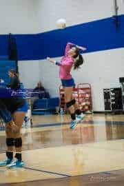 Volleyball: West Henderson at Polk (BR3_6782)