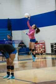 Volleyball: West Henderson at Polk (BR3_6784)