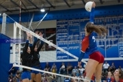 Volleyball: West Henderson at Polk (BR3_7035)