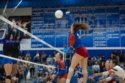 Volleyball: West Henderson at Polk (BR3_7061)