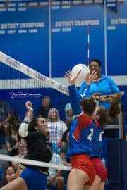 Volleyball: West Henderson at Polk (BR3_7158)