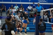Volleyball: West Henderson at Polk (BR3_7249)