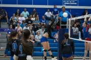 Volleyball: West Henderson at Polk (BR3_7253)