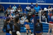 Volleyball: West Henderson at Polk (BR3_7254)