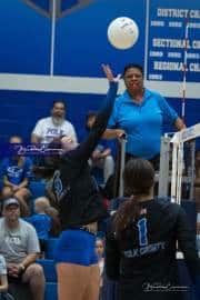 Volleyball: West Henderson at Polk (BR3_7291)