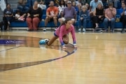 Volleyball: West Henderson at Polk (BR3_7349)
