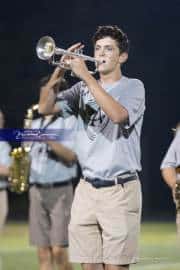 WHHS Marching Band (BR3_9055)