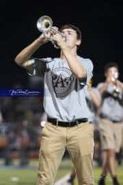 WHHS Marching Band (BR3_9080)