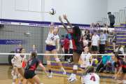 Girls Volleyball Pisgah at North Henderson (BR3_0877)