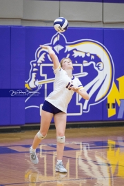 Girls Volleyball Pisgah at North Henderson (BR3_1726)