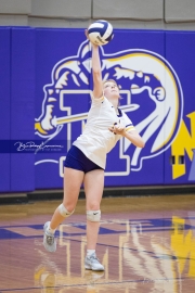 Girls Volleyball Pisgah at North Henderson (BR3_1727)