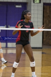 Girls Volleyball Pisgah at North Henderson (BR3_1869)