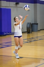 Girls Volleyball Pisgah at North Henderson (BR3_1908)