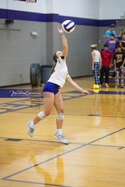 Girls Volleyball Pisgah at North Henderson (BR3_1916)
