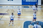 Volleyball Polk at Brevard (BR3_4177)