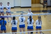 Volleyball Polk at Brevard (BR3_4259)