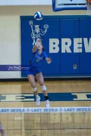 Volleyball Polk at Brevard (BR3_4299)