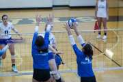 Volleyball Polk at Brevard (BR3_4343)